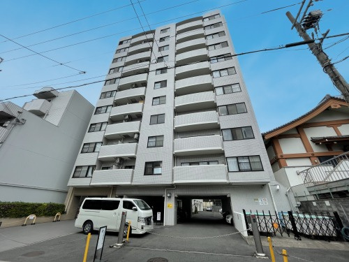 コスモトゥディ