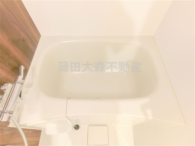 ブライズ多摩川DUEの浴室