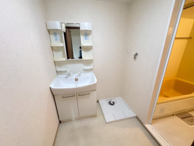 サニーイースト生駒の洗面所