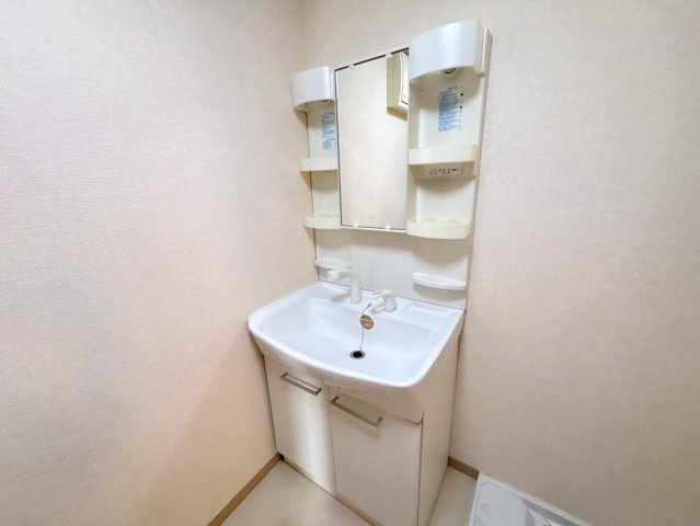 サニーイースト生駒の洗面所