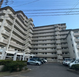 アムール和白3の画像
