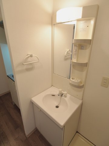 安芸郡海田町南大正町の賃貸マンションの独立洗面台