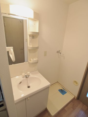 安芸郡海田町南大正町の賃貸マンションの洗面所