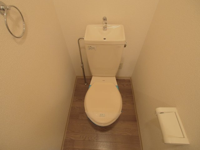 安芸郡海田町南大正町の賃貸マンションのトイレ