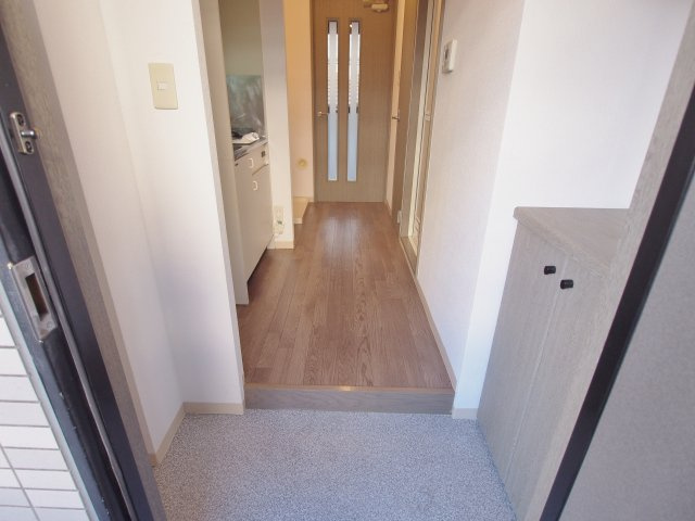 安芸郡海田町南大正町の賃貸マンションの玄関