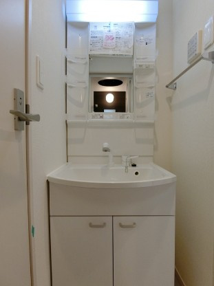 グラン・プライム大宮の洗面所