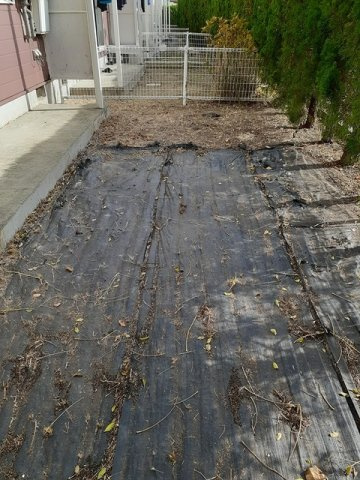 ニューシティー大坪の庭