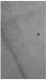 ＭＯＤＵＬＯＲ茗荷谷の寝室