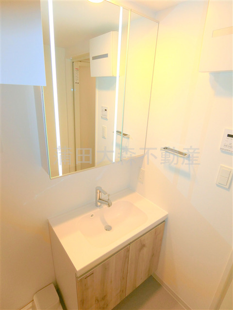 エルフォルテ羽田ライゼの洗面所