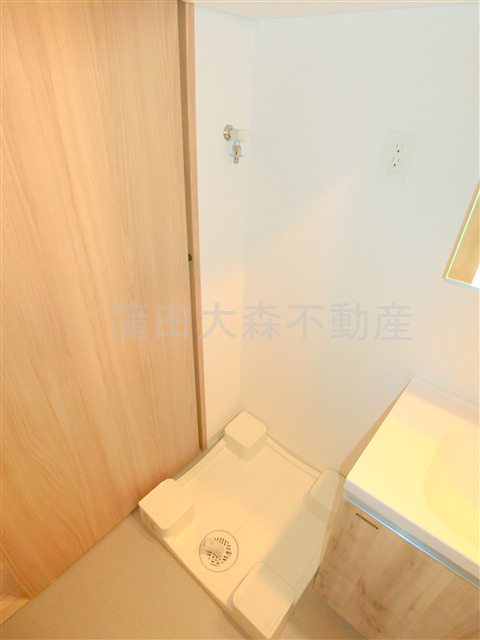 エルフォルテ羽田ライゼの洗面所