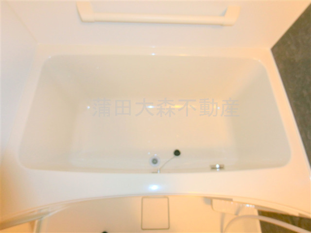 エルフォルテ羽田ライゼの浴室