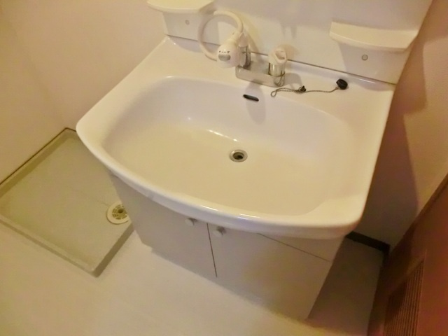 ヴェルドミール　カシマの洗面所|嬉しいシャンプードレッサー！