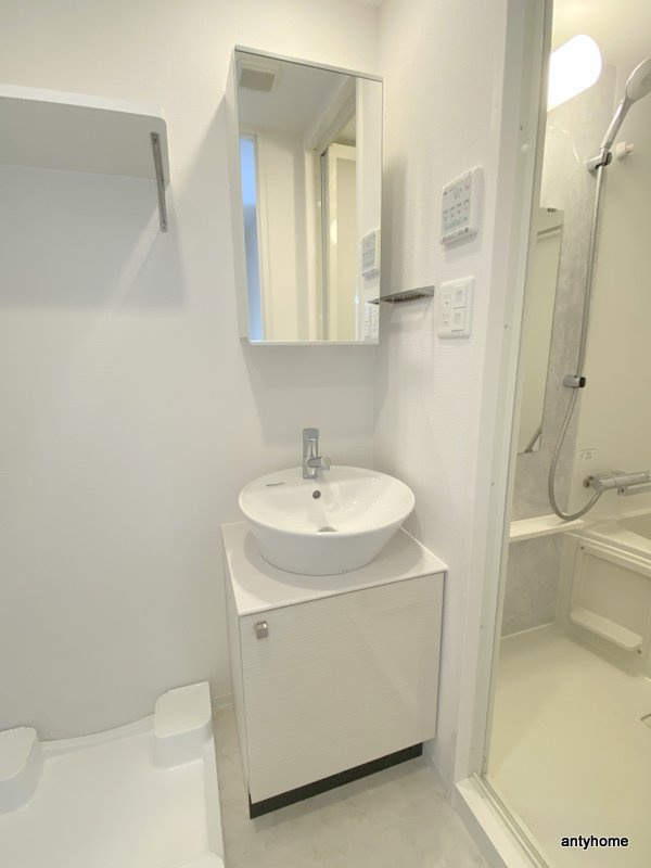 エスリード弁天町ルシェンテ　仲介手数料無料の洗面所