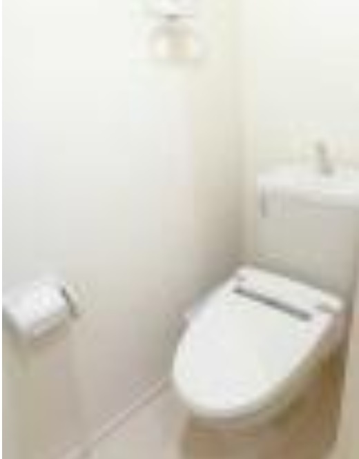 ＣＬＯＶＥＲ ＣＯＵＲＴ（クローバーコート）のトイレ|※同物件参考写真です