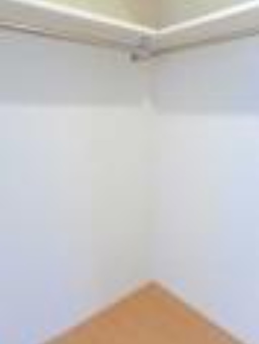 ＣＬＯＶＥＲ ＣＯＵＲＴ（クローバーコート）の収納|※同物件参考写真です