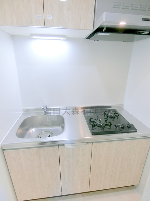 LUORE池上のキッチン|２口ガスコンロのシステムキッチン