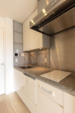 ＴＨＥ　ＲＯＰＰＯＮＧＩ　ＴＯＫＹＯ　ＣＬＵＢ　ＲＥＳＩＤＥＮＣＥのキッチン