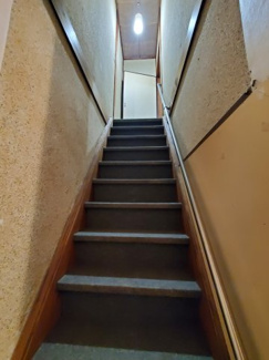 【その他】 | 木津宮ノ裏