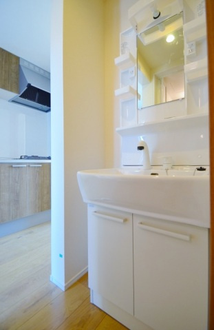 ステラ南鳩ヶ谷の洗面所|別号室の参考写真です。