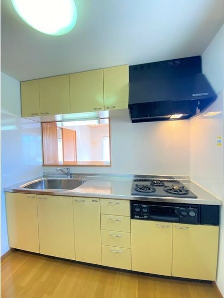 リヴ・ファーストSouthのキッチン