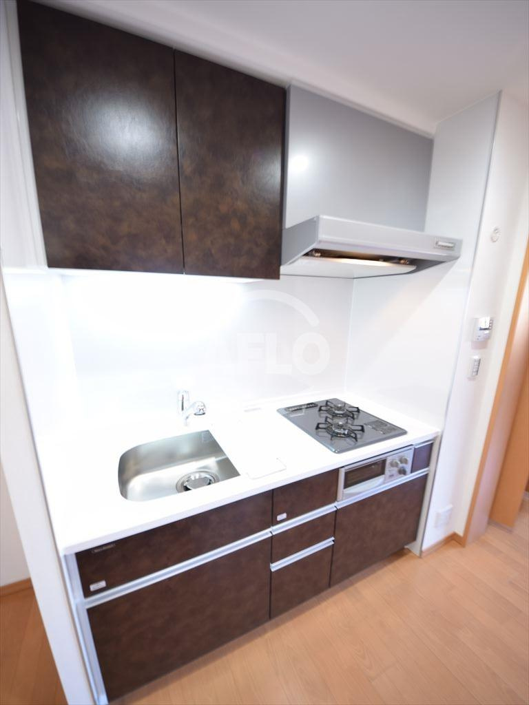 リーガル南堀江　堀江小学校区のキッチン|リーガル南堀江　2口ガスシステムキッチン