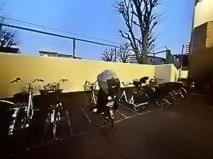 ライオンズマンション青戸第2の駐輪場|ドキドキの新生活も、安心してスタート。ぴったりの住まいを見つけませんか？クランディアが一緒に住まい選びをサポートします‼　まずは、お気軽にお問合せください　＃クランディア