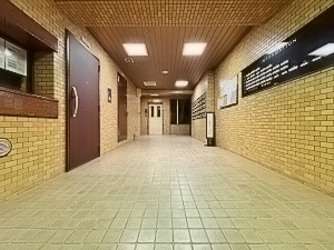 ライオンズマンション青戸第2のロビー|ドキドキの新生活も、安心してスタート。ぴったりの住まいを見つけませんか？クランディアが一緒に住まい選びをサポートします‼　まずは、お気軽にお問合せください　＃クランディア