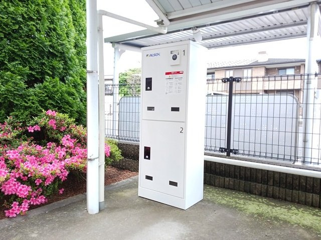 サニープラシードＢのその他