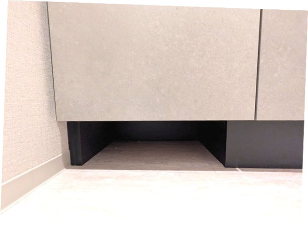 ニド元浅草の設備|トイレと独立した脱衣洗面室、洗面台の下にヘルスメーターストックスペースあります