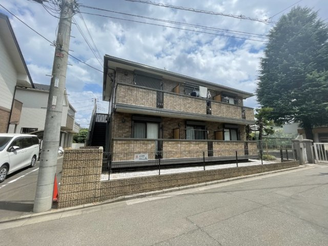 ノース　フェルト