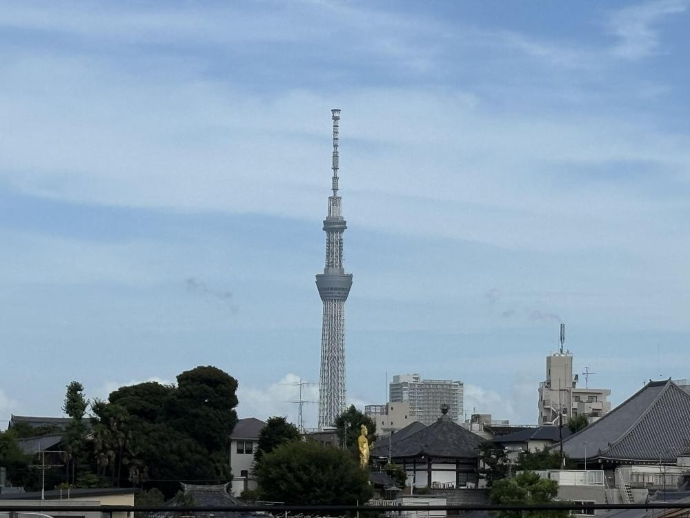 【展望】