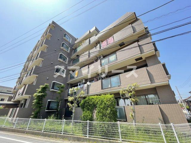 T's garden柏の展望