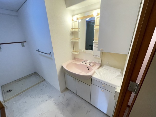 ポニクレール比治山の洗面所