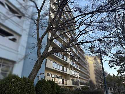 イトーピア橋本町(JS)の外観