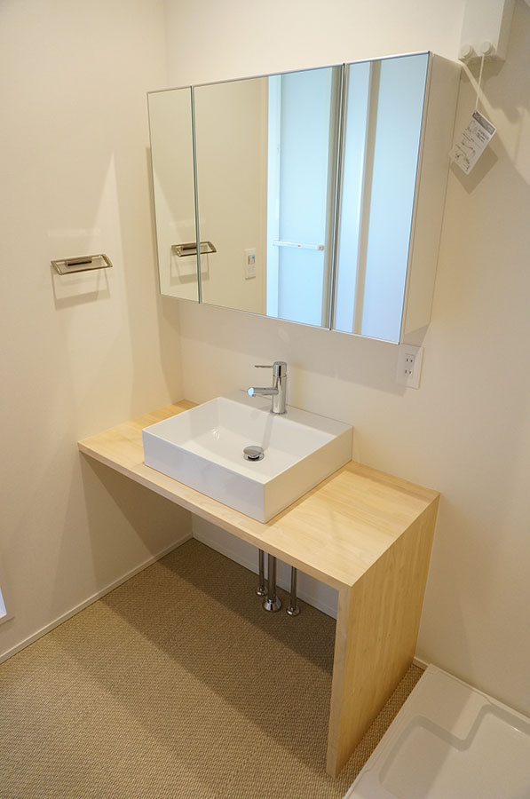 【ガレージハウス】木更津 THE Resortの洗面所|※参考画像