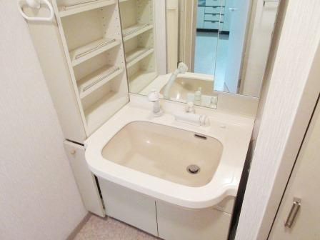 ネクサス巣鴨の洗面所