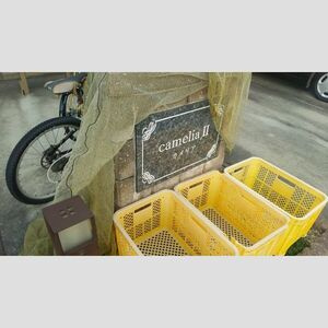 カメリア　Ⅱのその他