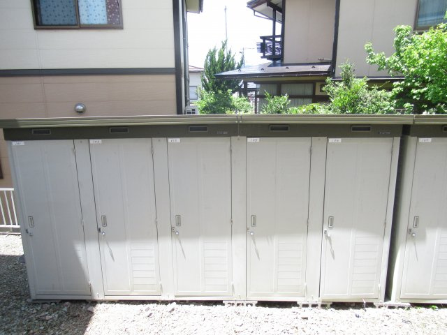 サン・ワイルドのその他