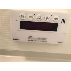 フェリーチェのその他