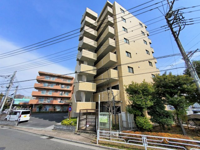 ハイデンスムラタの展望