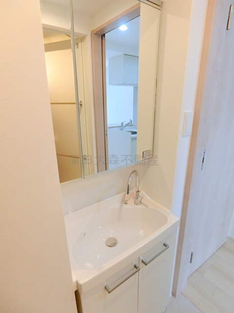 ラヴィエール羽田スカイゲートの洗面所|収納付き独立洗面台