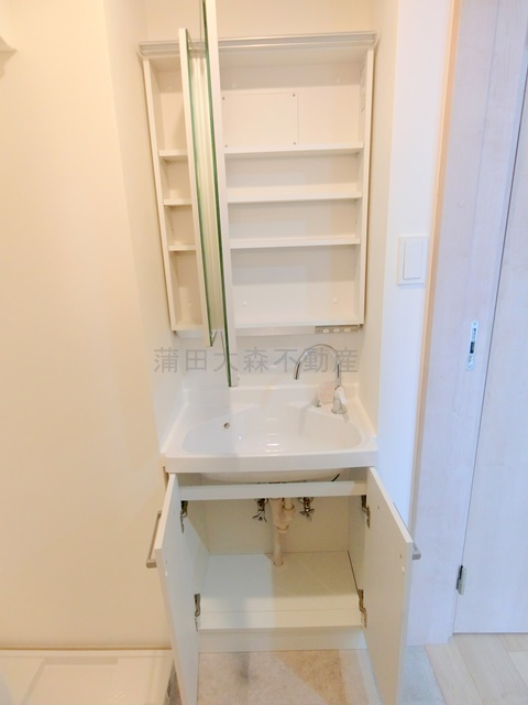 ラヴィエール羽田スカイゲートの洗面所|収納付き独立洗面台