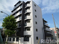 アルテシモフェリオの画像