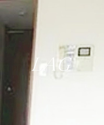 【セキュリティ】 | 日神デュオステージ新宿若松町 | モニター付インターホンです。