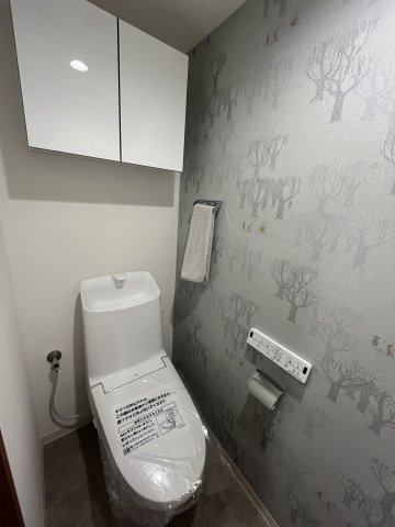 東急ドエル・ビアス市が尾のトイレ