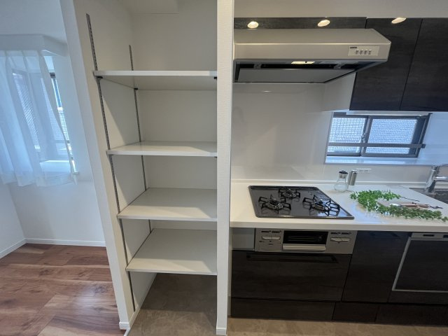 東急ドエル・ビアス市が尾のキッチン