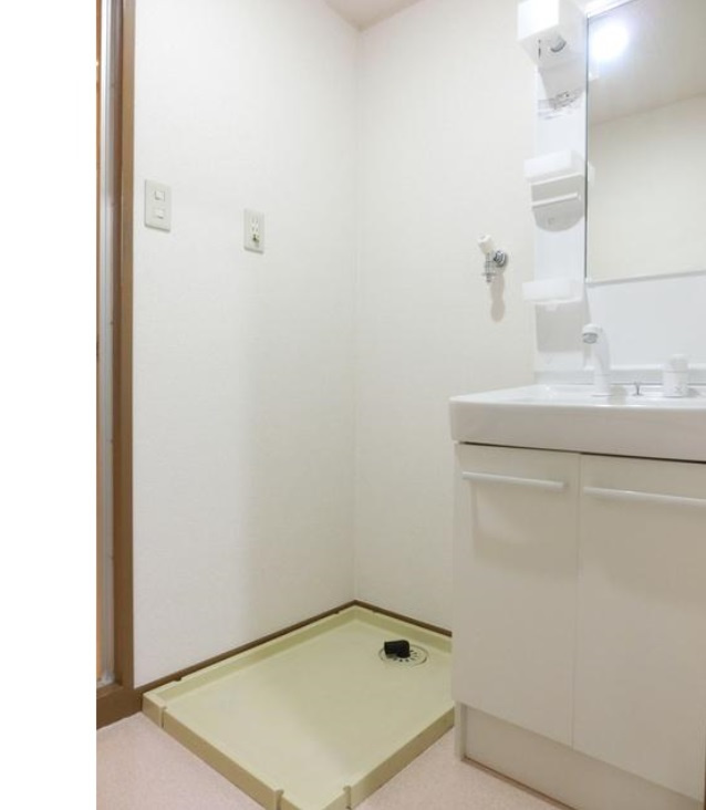 メゾン・ムラセの洗面所