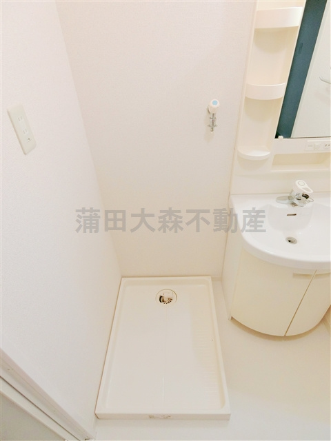 メゾン・ムラセの洗面所