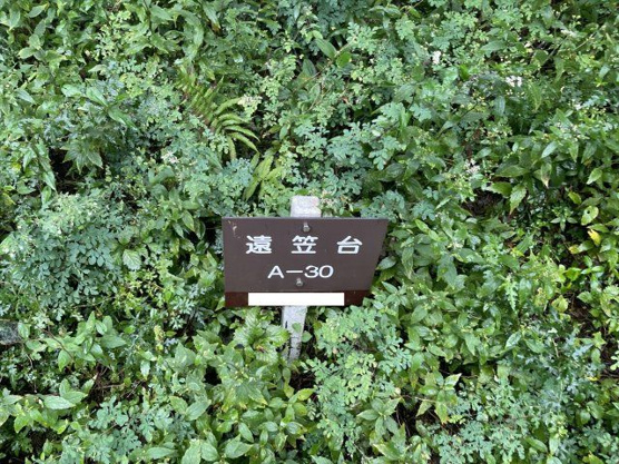 【外観】 | 東急天城高原別荘地　売地