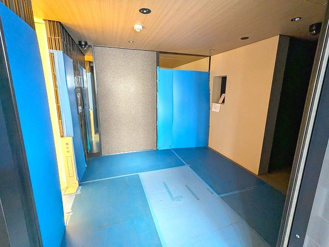 THE LIONS forsia文京湯島の設備|防犯カメラ付瀟洒なエントランスです